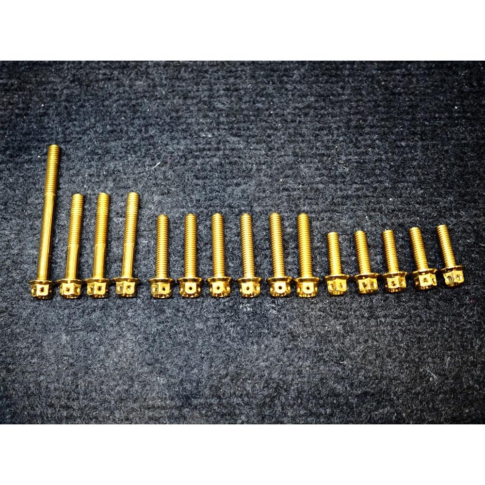 ชุดน็อต รุ่น PCX-2018 สแตนเลส แคร้งเครื่อง สีทอง/สีไทเท